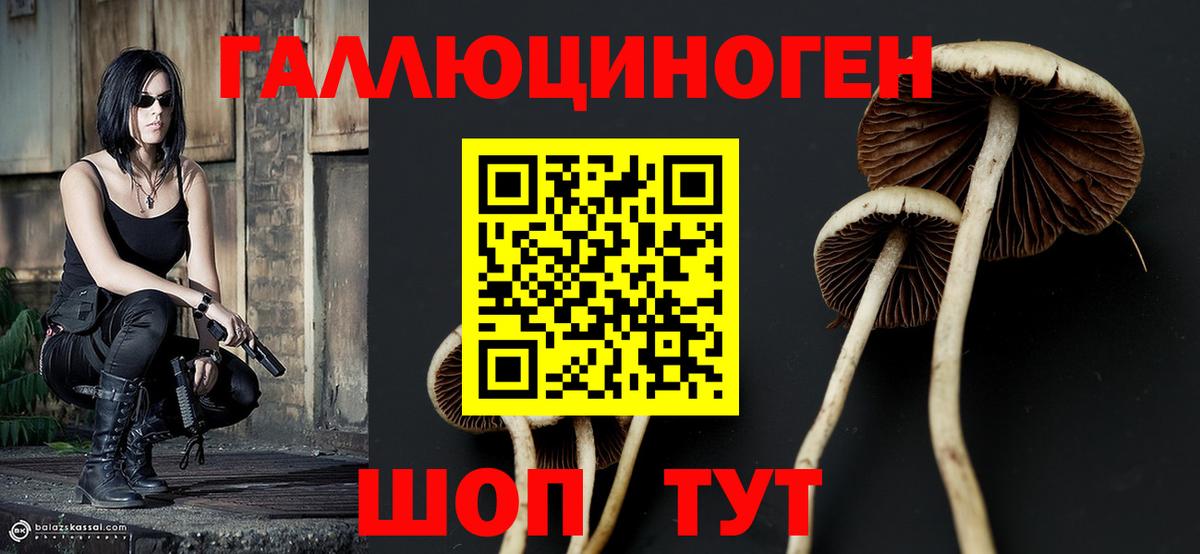 Сибай  Галлюциногенные грибы MAGIC MUSHROOMS  Вход с VPN 