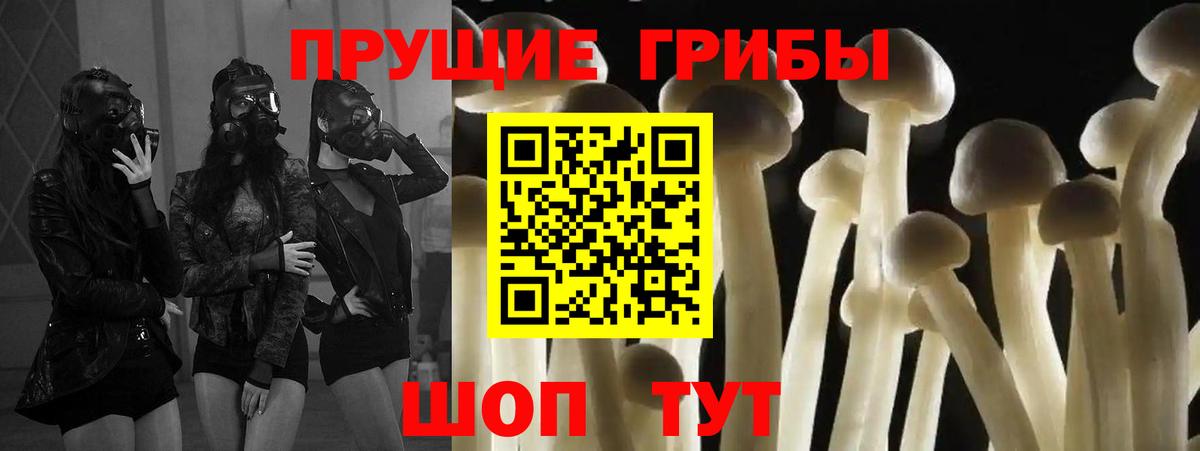 Галлюциногенные грибы мухоморы Сибай